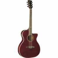 Eko NXT 018 CW EQ Wine Red
