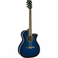 Eko NXT 018 CW EQ Blue Sunburts