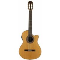 Josè Torres JTC-20CE