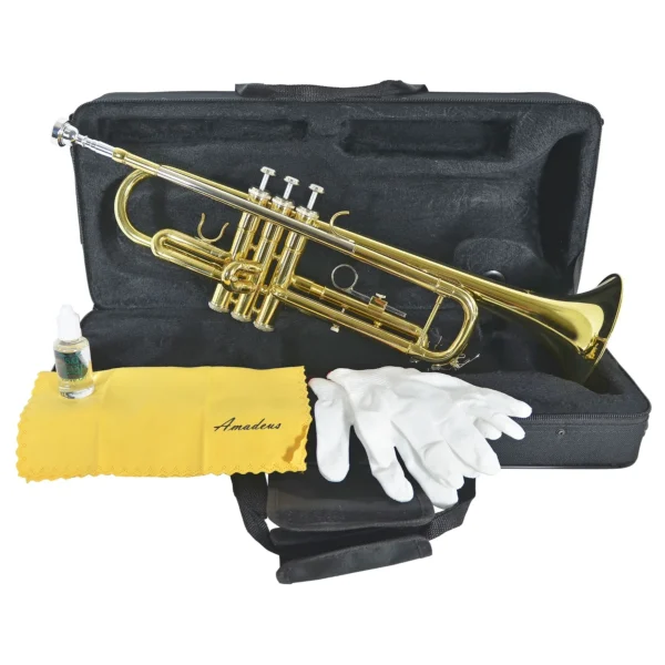 Tromba Amadeus TR600 sib laccata - immagine 3