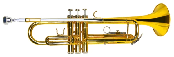 Tromba Amadeus TR600 sib laccata - immagine 2