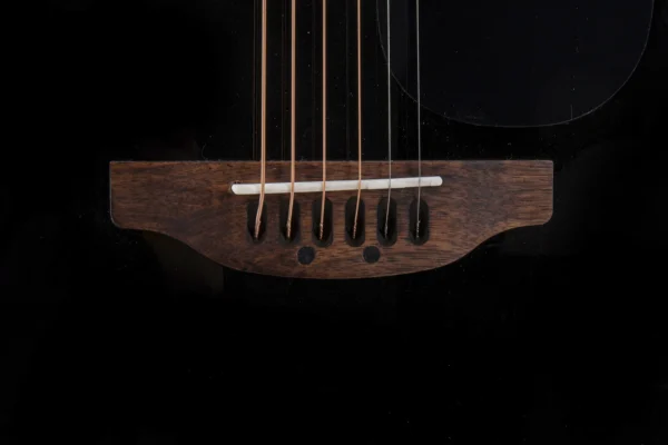 APPLAUSE by OVATION Wood Classics AED96-5HG Black Gloss Electro - immagine 8
